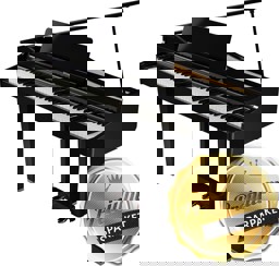 Zeige Details für Roland GP-3 PE Schwarz Hochglanz - Premium-Sparpaket Bild von Roland GP-3 PE Schwarz Hochglanz - Premium-Sparpaket