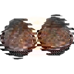 Zeige Details für SELA Handpan Majesty B Minor - Stainless Steel - SE 217 Bild von SELA Handpan Majesty B Minor - Stainless Steel - SE 217