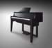 Bild von Yamaha N1X PE AvantGrand Hybrid-Piano