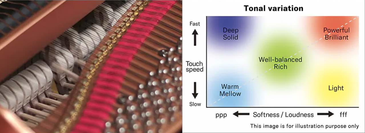 Grand Expression Modelling